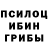 Галлюциногенные грибы Psilocybine cubensis wuhwuhwires