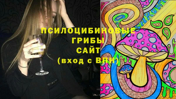 a pvp Алзамай