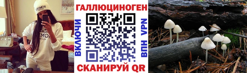 Галлюциногенные грибы Magic Shrooms  Лукоянов 